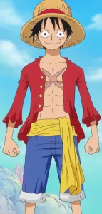 Personaje de dibujos animados de Monkey D Luffy